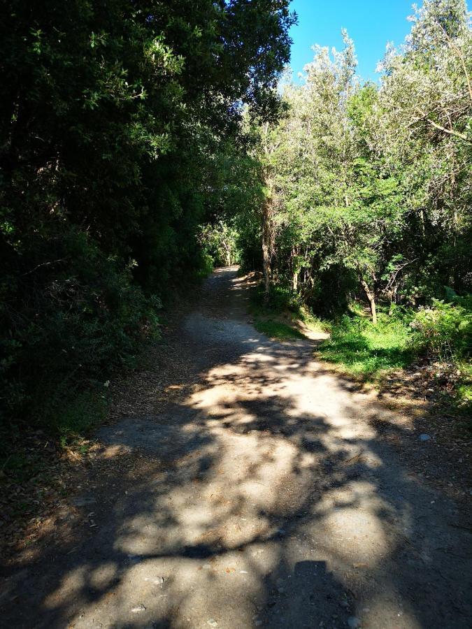 Maison De Village A 2 Km De La Mer Sisco Cap Corse 15 Kms Bastia Ngoại thất bức ảnh