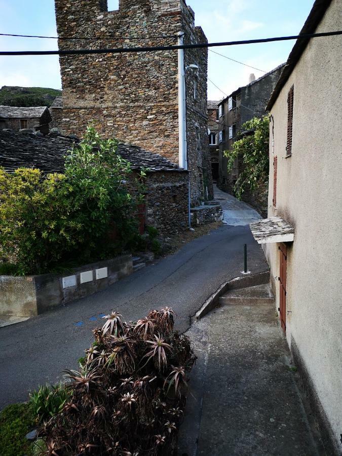 Maison De Village A 2 Km De La Mer Sisco Cap Corse 15 Kms Bastia Ngoại thất bức ảnh