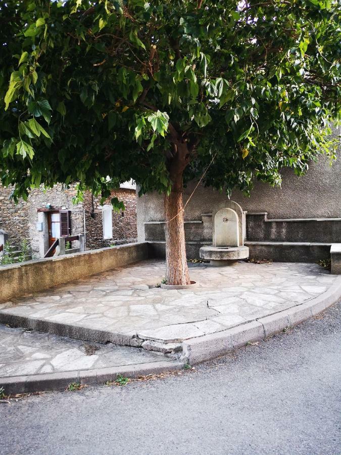Maison De Village A 2 Km De La Mer Sisco Cap Corse 15 Kms Bastia Ngoại thất bức ảnh