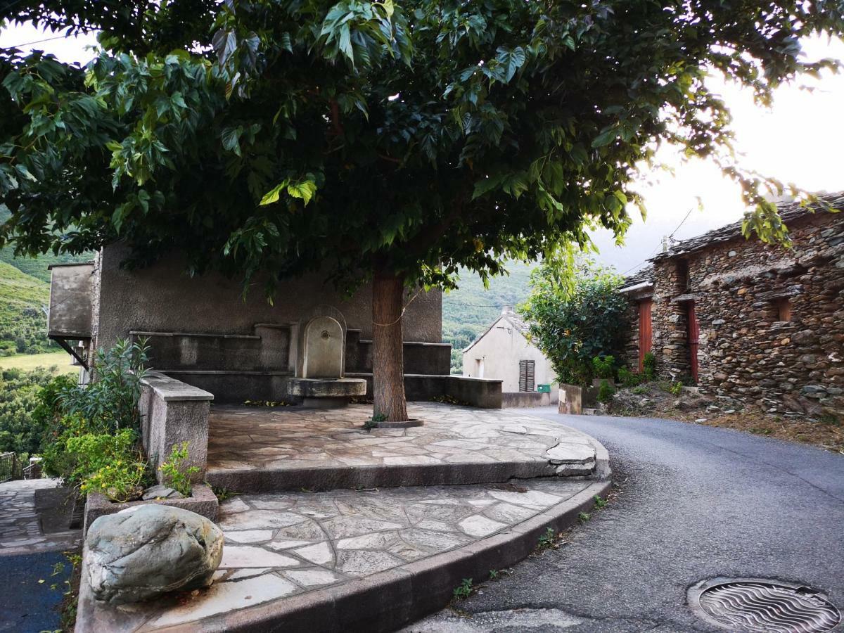 Maison De Village A 2 Km De La Mer Sisco Cap Corse 15 Kms Bastia Ngoại thất bức ảnh